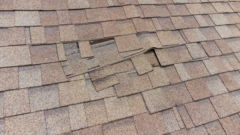 Damaged Roof Shingles